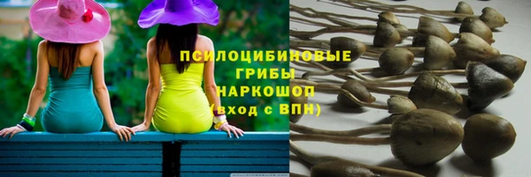 jwh Аркадак