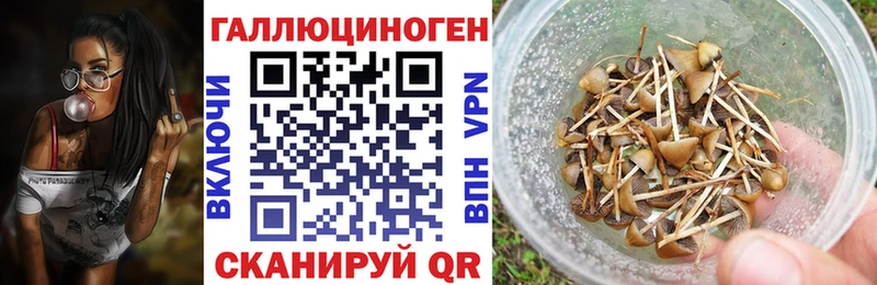 магазин    Сегежа  Галлюциногенные грибы Magic Shrooms 