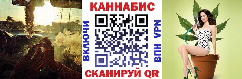 сайты даркнета телеграм  Сегежа  mega ссылка  Шишки марихуана план  купить  
